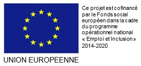 logo FSE europe;